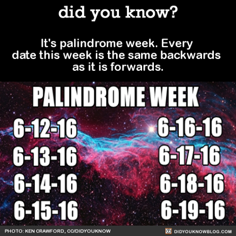 Palindrome-Week.png